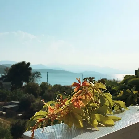 Apartment Elenis Theologos (Phthiotis)
